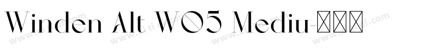 Winden Alt W05 Mediu字体转换